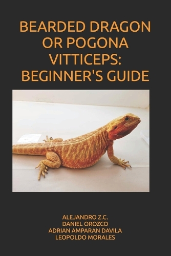 Bearded Dragon or Pogona Vitticeps