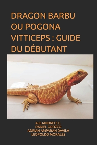 Dragon Barbu Ou Pogona Vitticeps