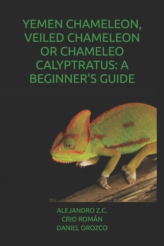 Yemen Chameleon, Veiled Chameleon or Chameleo Calyptratus