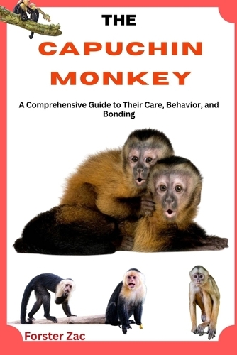 The Capuchin Monkey