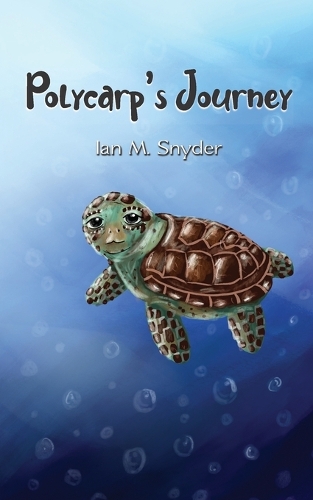 Polycarp's Journey