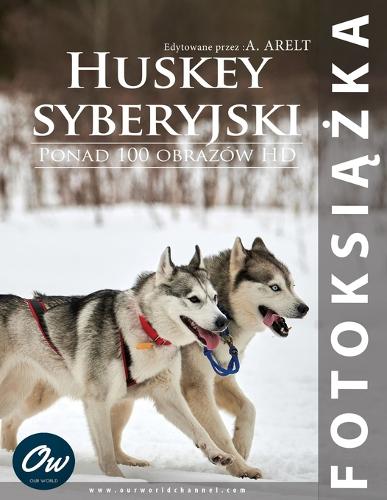 Huskey syberyjski