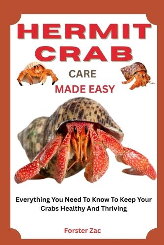 Hermit Crab Care Made Easy