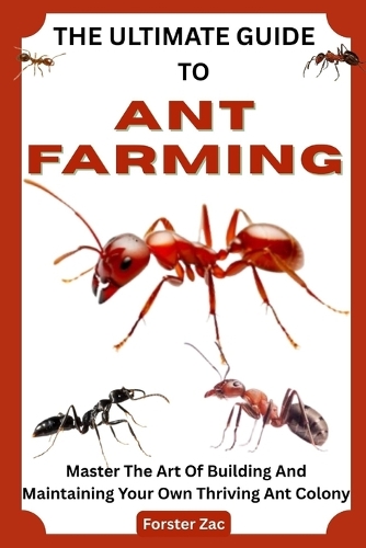 The Ultimate Guide to Ant Farming
