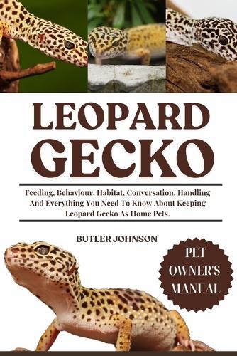 Leopard Gecko