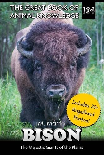 Bison