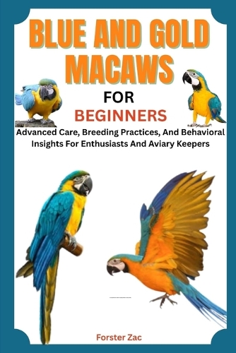 Blue and Gold Macaws for Beginners