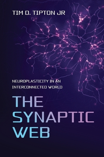 The Synaptic Web