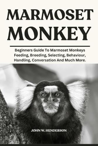 Marmoset Monkey