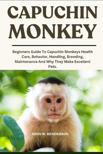 Capuchin Monkey