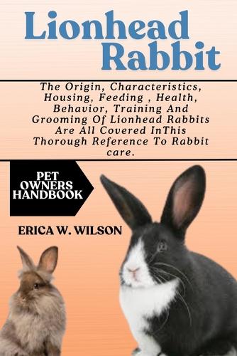 Lionhead Rabbit