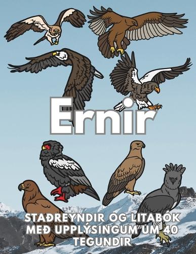 Ernir