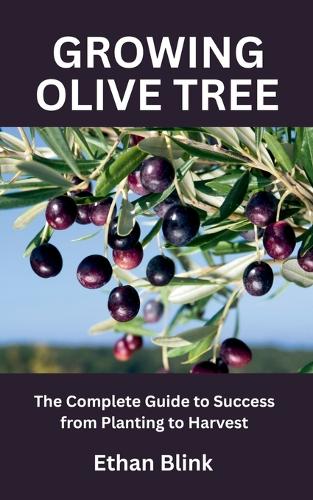 Growing Olive Tree
