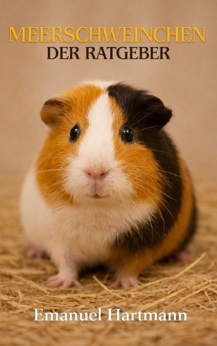 Meerschweinchen