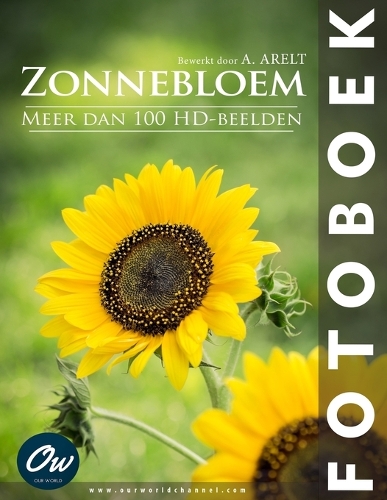 Zonnebloem