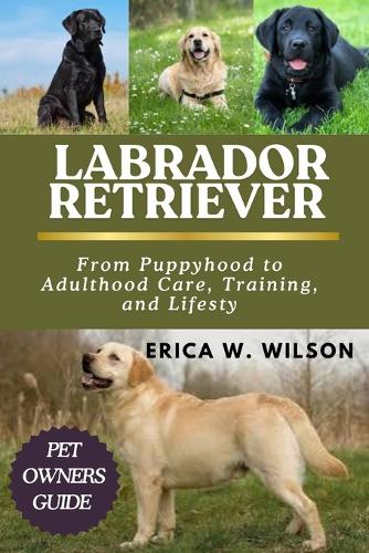 Labrador Retriever