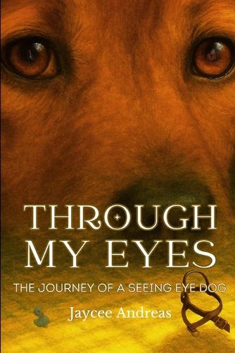 Through My Eyes