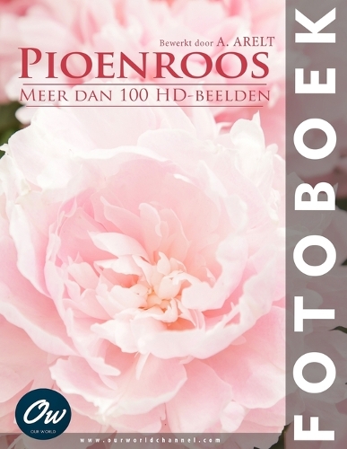 Pioenroos