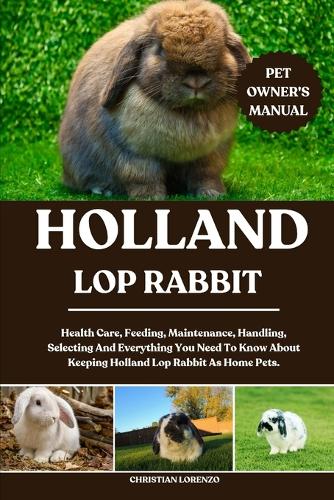 Holland Lop Rabbit