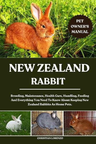 New Zealand Rabbit