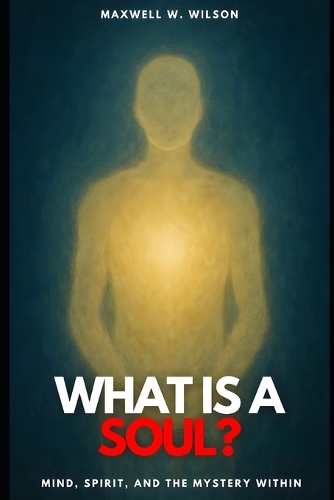 What Is a Soul?