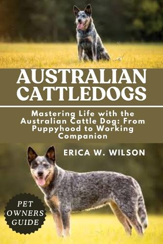 Australian Cattledogs