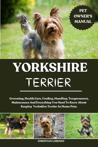 Yorkshire Terrier
