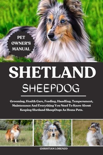 Shetland Sheepdog