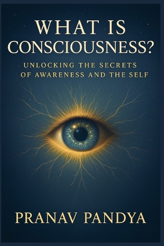 What Is Consciousness?