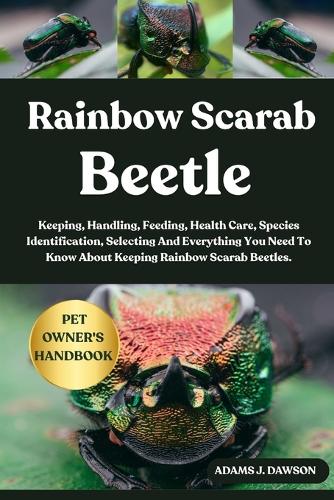 Rainbow Scarab Beetle