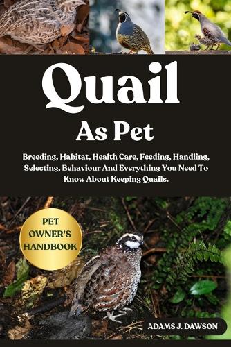 Quail as Pet