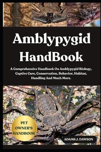 Amblypygid Handbook