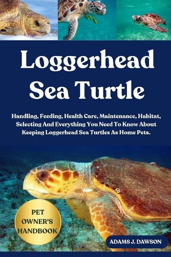Loggerhead Sea Turtle