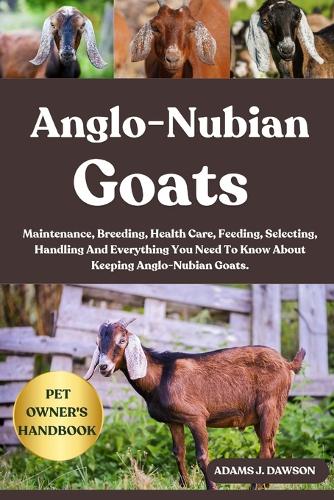 Anglo-Nubian Goats