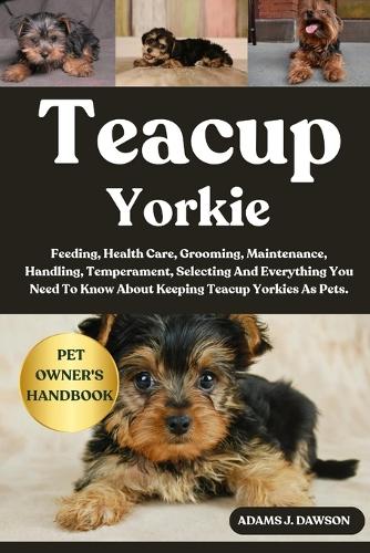 Teacup Yorkie