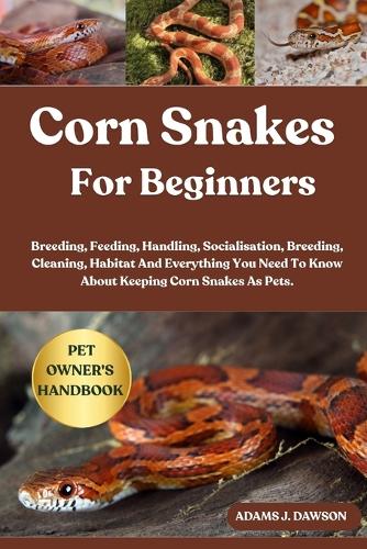Corn Snakes for Beginners