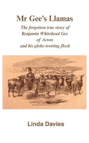 Mr Gee's Llamas