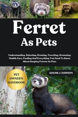 Ferret as Pets