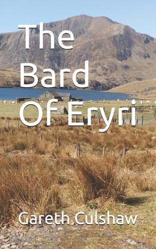 The Bard Of Eryri