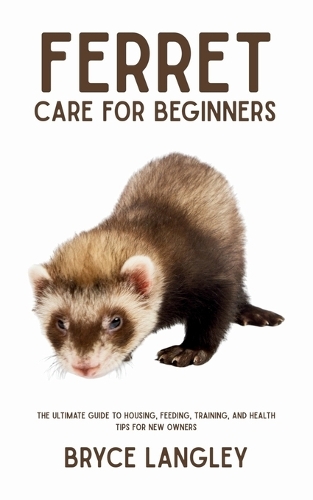 Ferret Care for Beginners