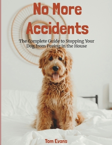 No More Accidents