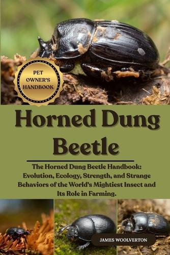 Horned Dung Beetle