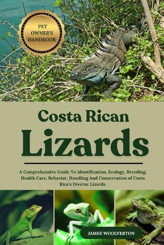 Costa Rican Lizard