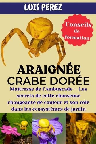 Araignée Crabe Dorée