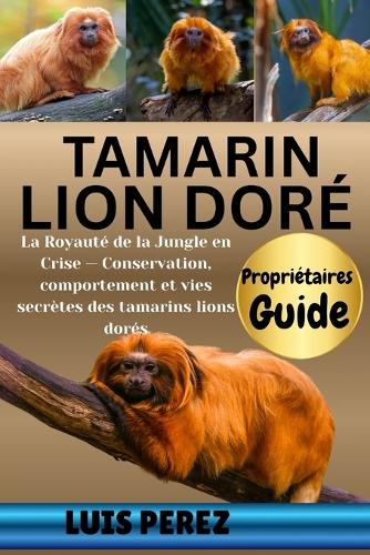 Tamarin Lion Doré