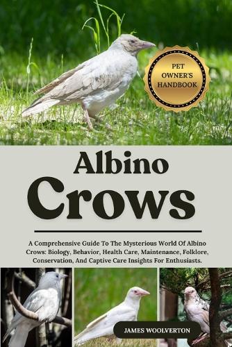Albino Crows