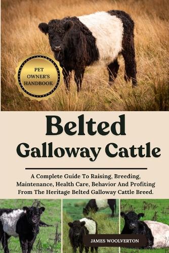 Belted Galloway Cattle