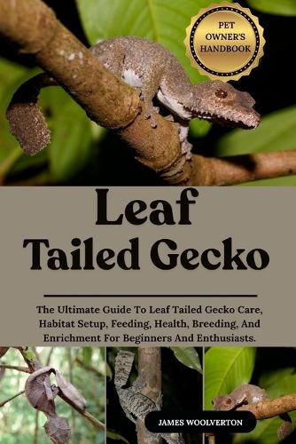 Leaf Tailed Gecko
