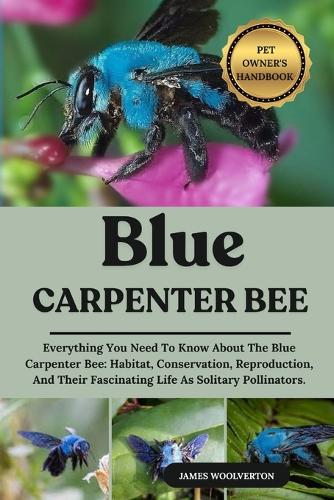 Blue Carpenter Bee