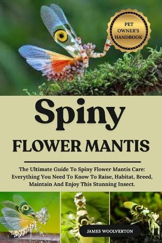Spiny Flower Mantis